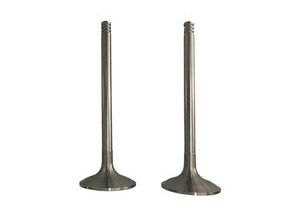 Quality  DEUTZ MWM TBG620 V16(6002) – 12300234 Intake Valve factory