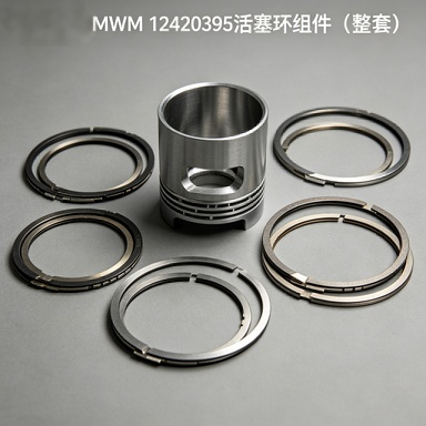 Quality  DEUTZ MWM 12420395 Complete Piston Ring Set factory