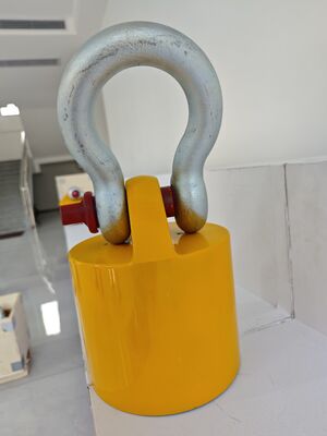 Lifting Ring 92010762 USE FOR Robbins 73-series